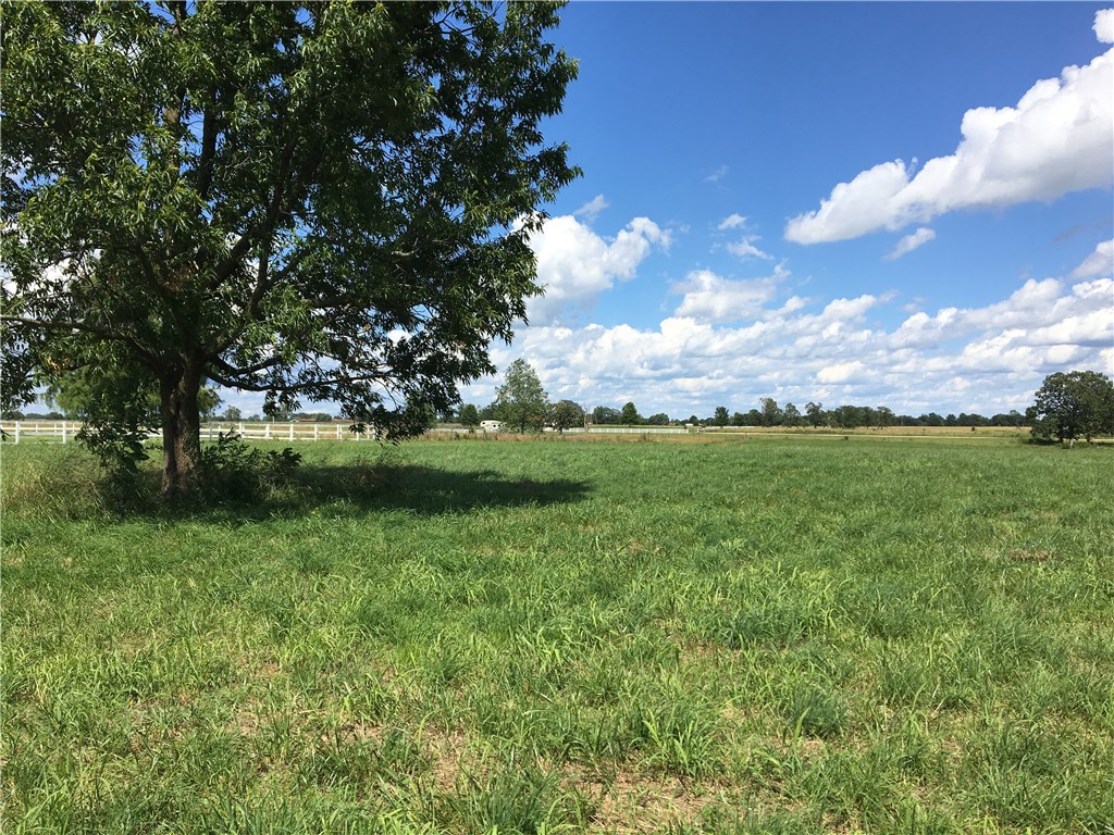Tontitown Outlots - Land