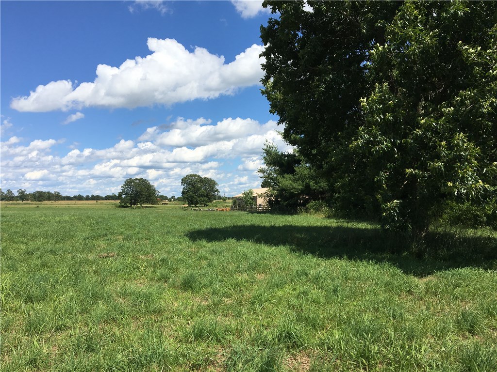 Tontitown Outlots - Land