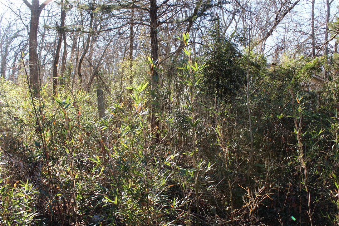 Fayetteville Outlots - Residential