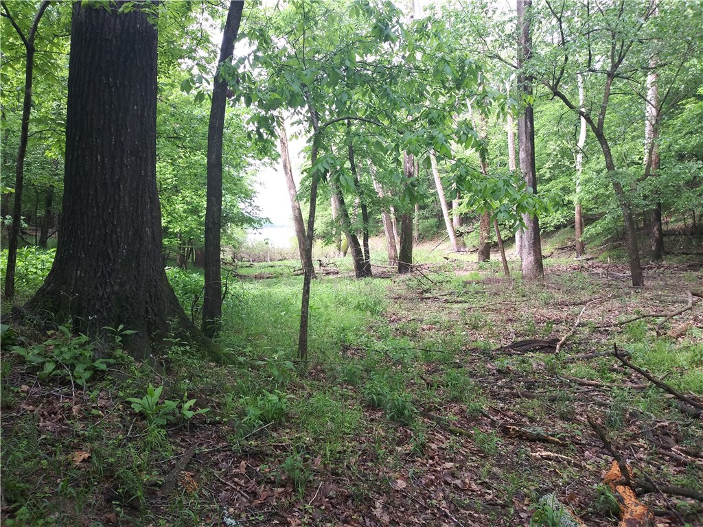 Rare find.. No restrictions.. No covenants.. Beautiful 3.27 acres of Beaver Lake Area Land,level for new home with lakeview. currently has 1974yr modular home,no title,AS-IS condition,attached garage.Property is against the Horseshoe Bend picnic area on one side,& a "buffer" between property & corp lake take line.Very peaceful, location,No boat dock permit will be issued to protect Horseshoe bend campground.No Restrictions on land use, Lots of possibilities,RV PARK?mobile home PARK?10 mins to Rogers