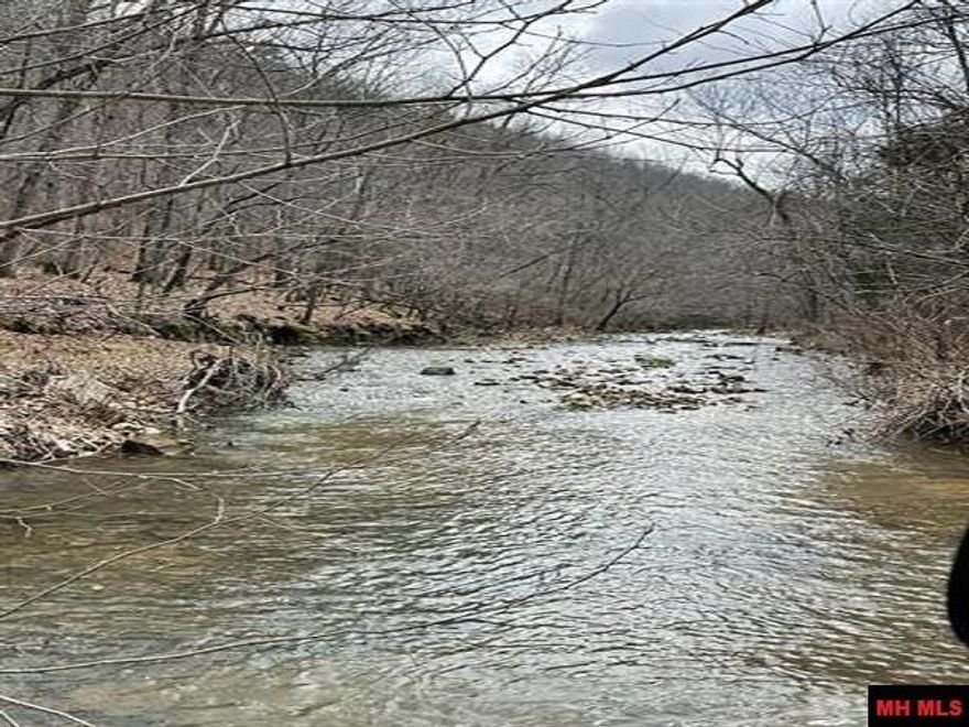 Escape to a secluded haven of natural beauty and serenity with this unique property offering on the creek living. Tucked away from the hustle and bustle, this pristine location is a sanctuary for nature enthusiasts and those seeking a truly off grid lifestyle. Nestled in Marion County, you'll discover the finest in rural living. The property is surrounded by the lush wilderness, providing a haven for wildlife of all kinds. From birdsong to the rustling of leaves, you'll be immersed in the soothing sounds of nature. Access to this hidden gem may require a rough road with a 4x4vehicle, but the journey is part of the adventure. In exchange for the rustic access, you'll be rewarded with complete seclusion and an unspoiled landscape that feels like your very own private paradise. Very rough road that you have to cross the creek.