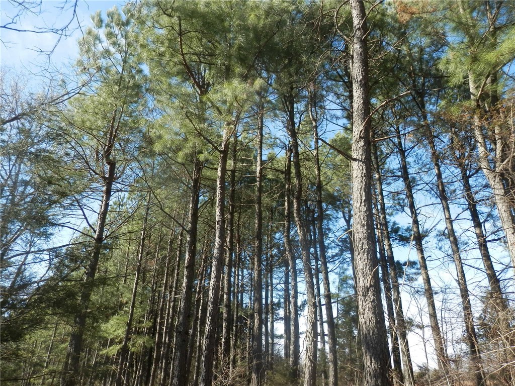 0 - Residential Income