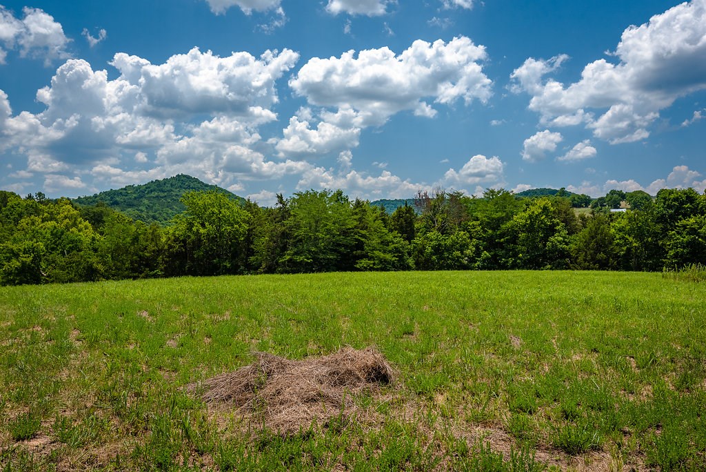 0 - Residential Income