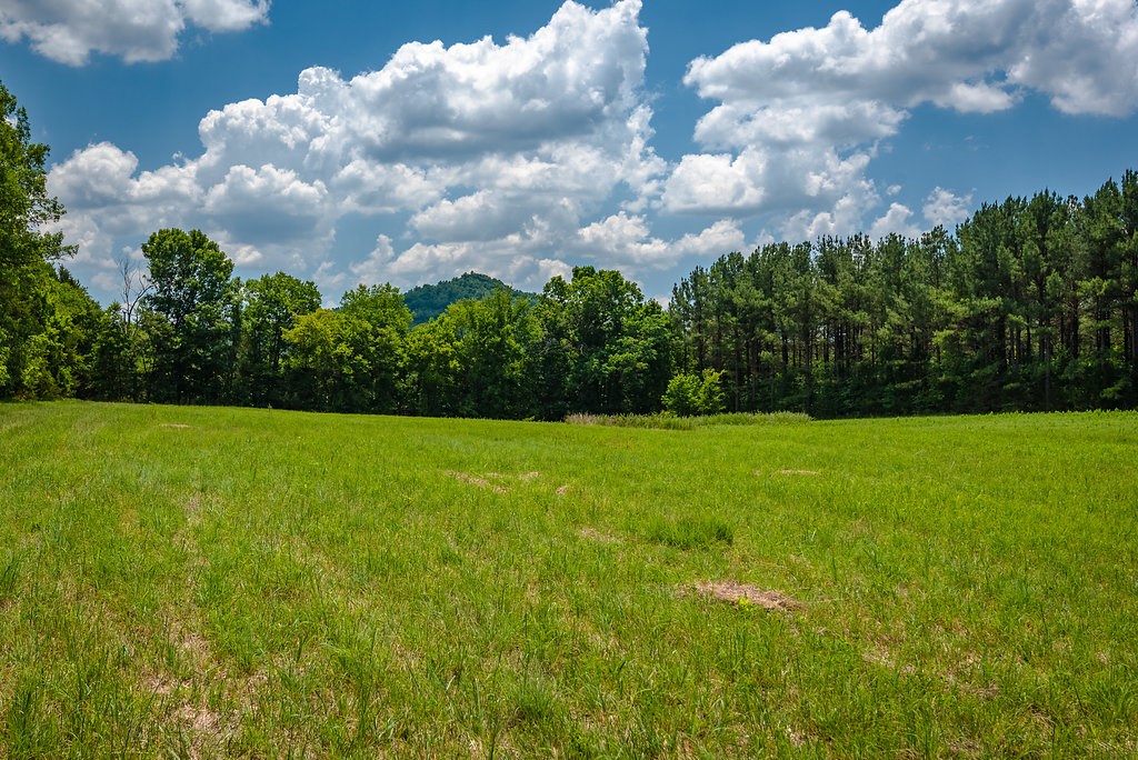 0 - Residential Income