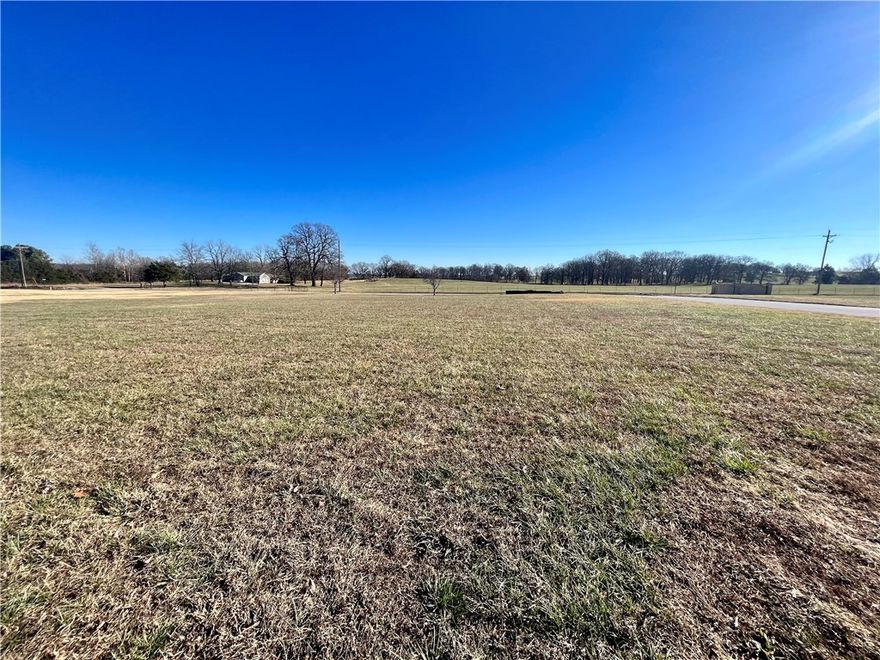 Great level lot to build your dream home in Arlington Estates. Located in a quiet, well-maintained rural neighborhood, this property provides both privacy and convenience, with access to utilities. This lot is just a short drive from town while still offering a peaceful country setting.