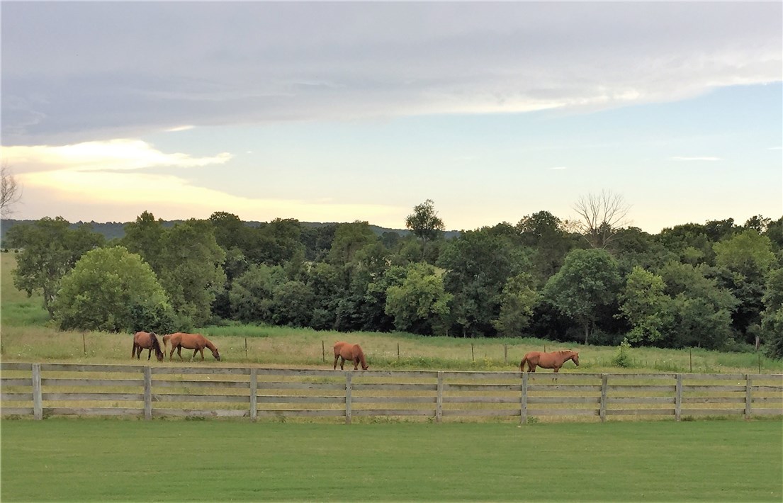 Polo Country Estates Sub - Residential