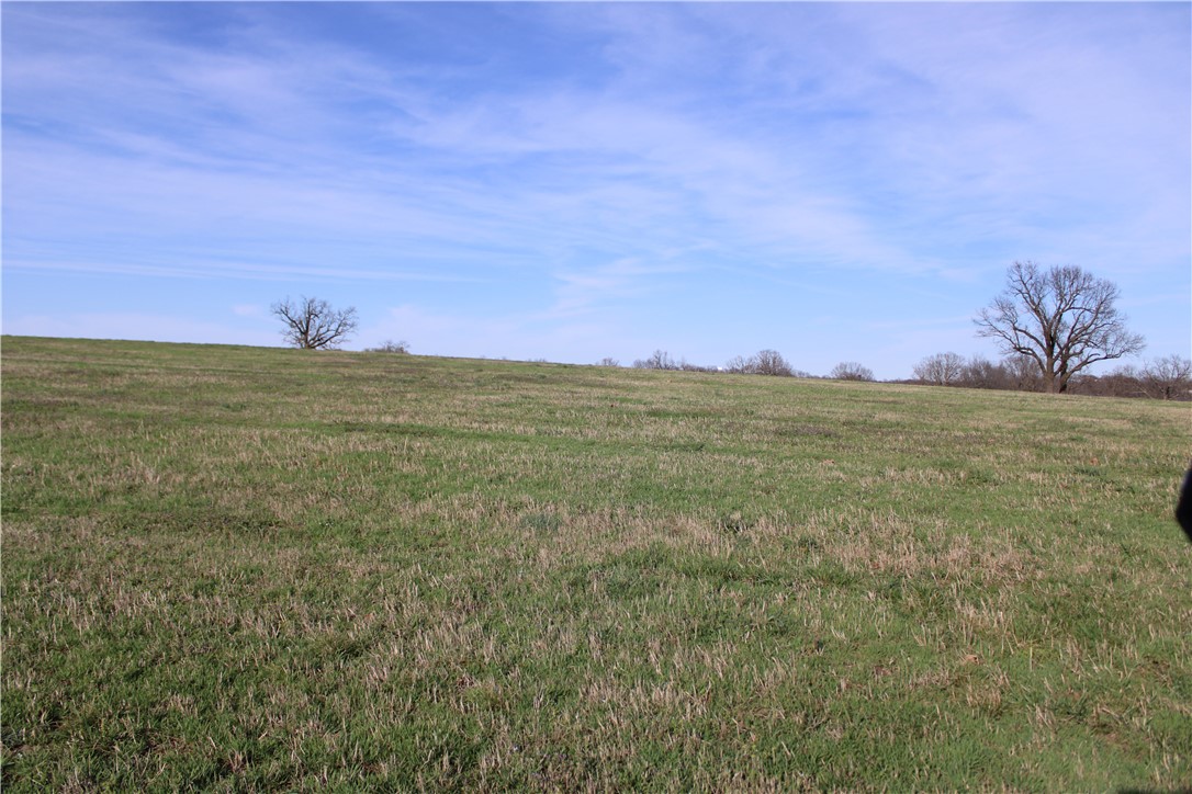 Northern Trace - Land