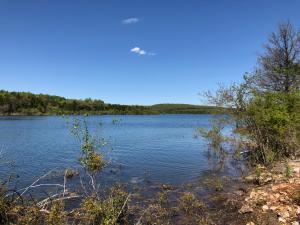 Great wooded almost level parcel with 1/4 mile of corp frontage on Bull Shoals Lake and an old road bed that runs from the property to the waters edge making for an easy walk to the lake. Pond and county road frontage. Electric available within 4 miles of Hwy 125 Marina and corp park.
