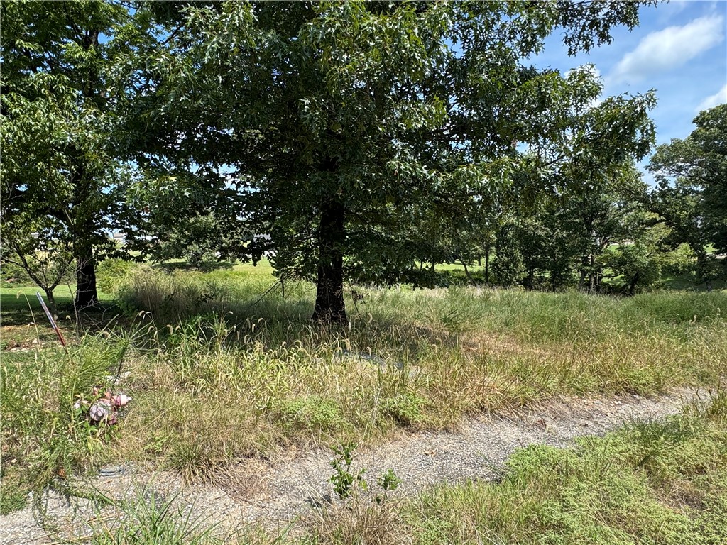 Spacious 1.16-acre residential lot offering the perfect setting to build your dream home. With plenty of room for a custom residence, outdoor living, and landscaping, this property provides both privacy and potential. The generous size allows flexibility for a variety of home designs while still leaving space for gardens, a shop, or recreational amenities. Whether you’re looking for a peaceful retreat or a convenient location close to town, this lot offers an excellent opportunity to create the lifestyle you’ve envisioned