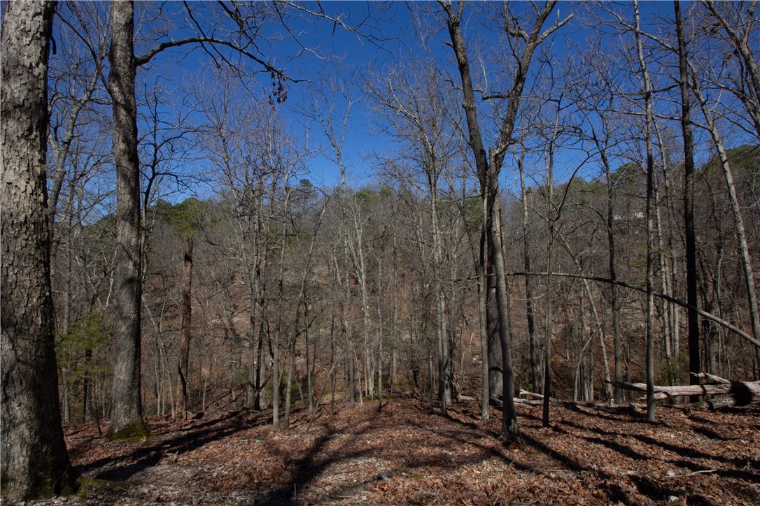 Tanglewood Resort No 2 Rurban - Land