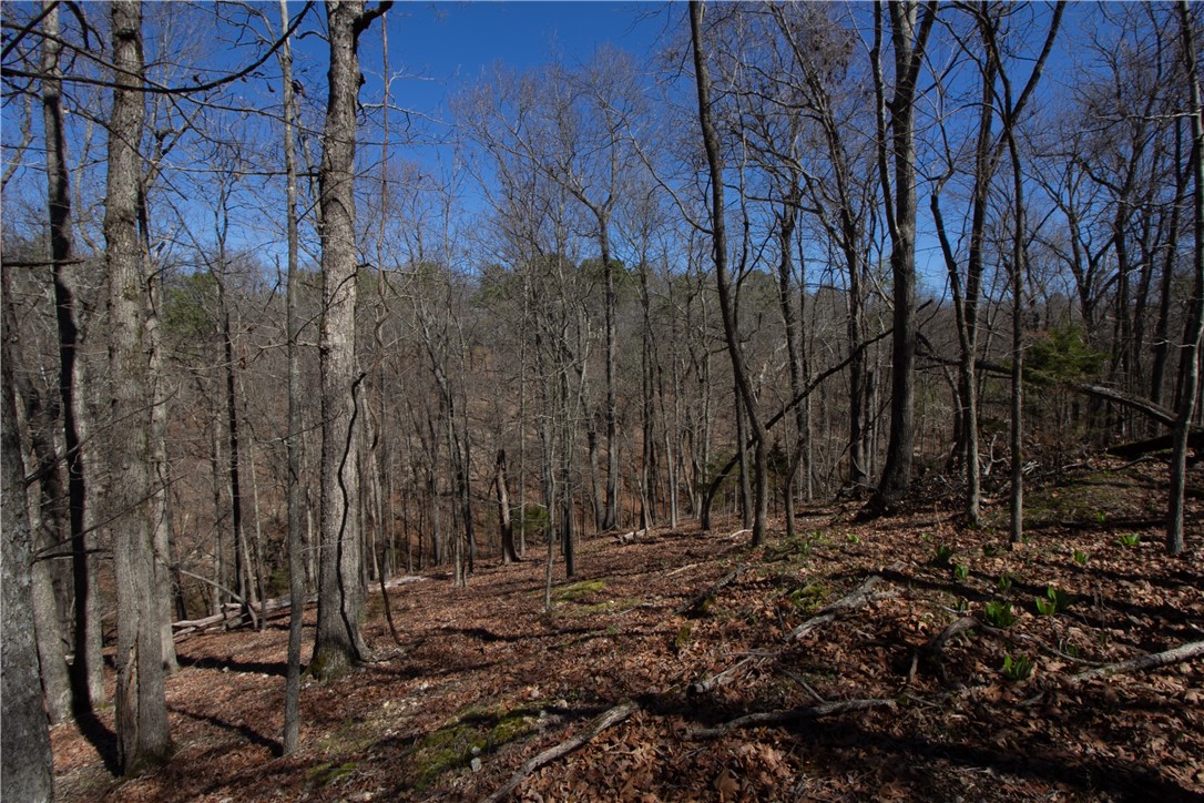 Tanglewood Resort No 2 Rurban - Land