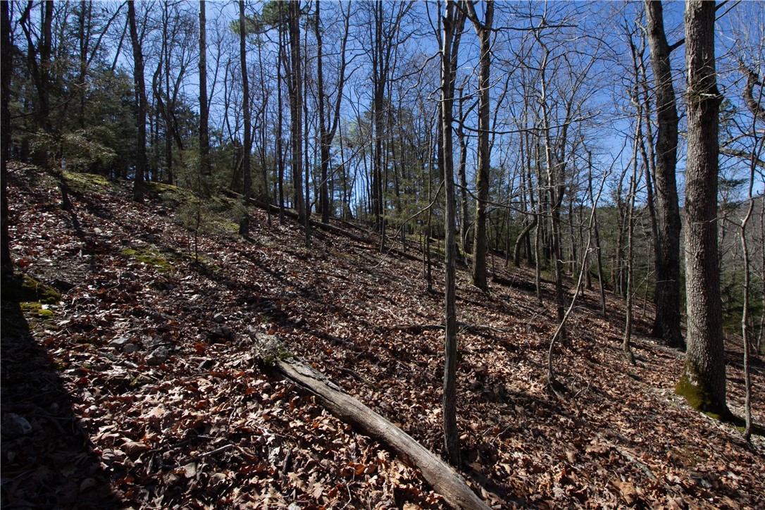 Tanglewood Resort No 2 Rurban - Land