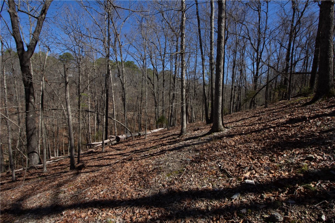 Tanglewood Resort No 2 Rurban - Land