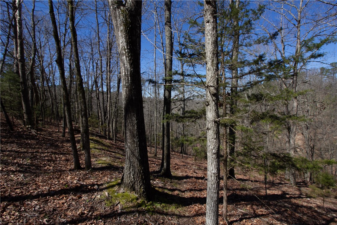 Tanglewood Resort No 2 Rurban - Land