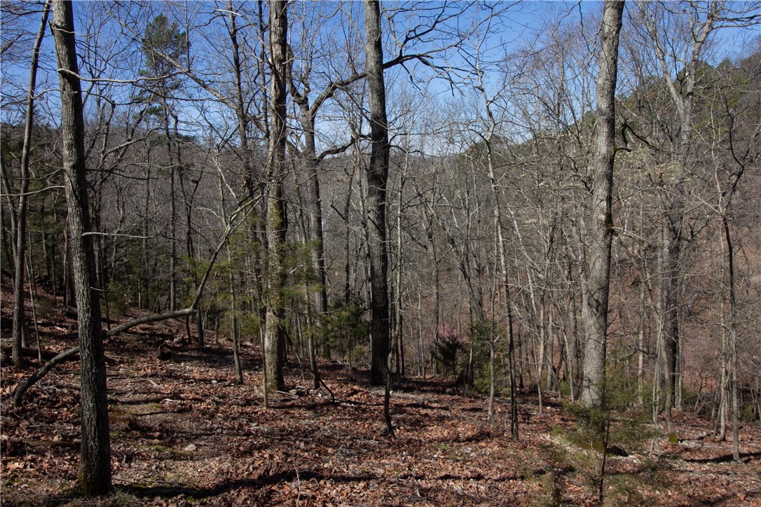Tanglewood Resort No 2 Rurban - Land