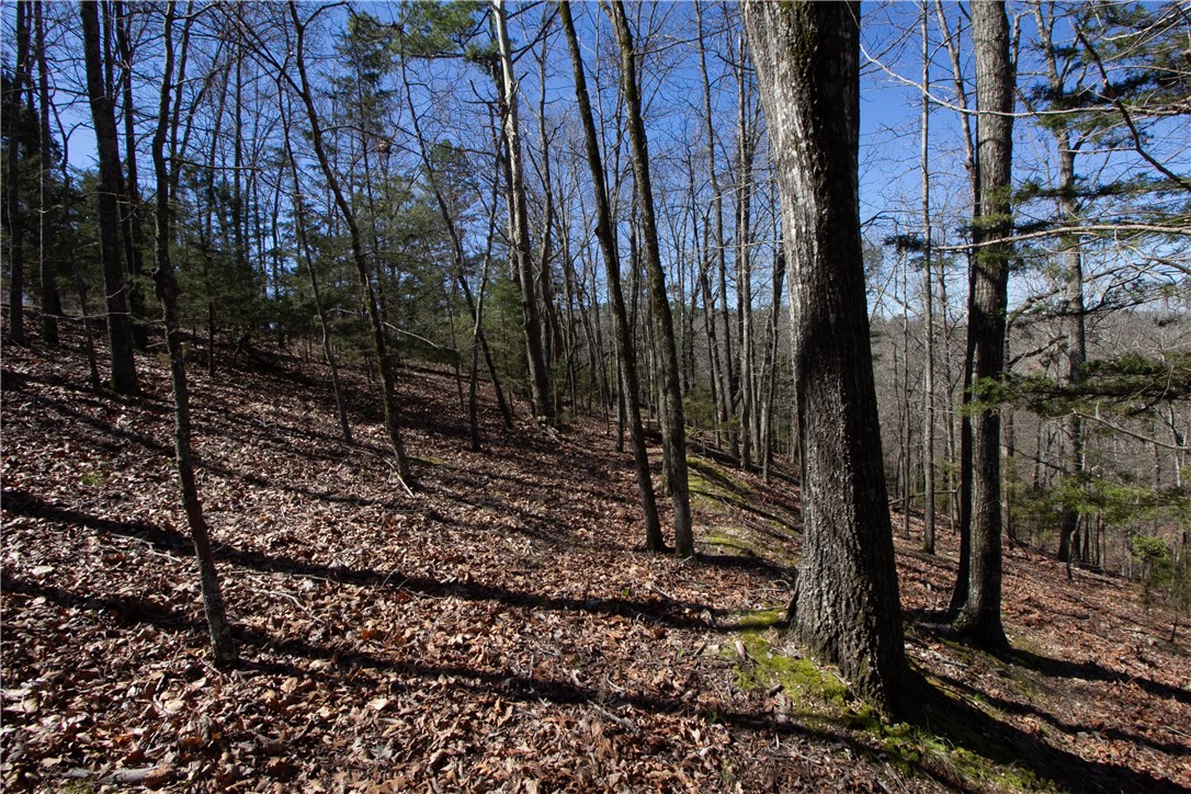 Tanglewood Resort No 2 Rurban - Land