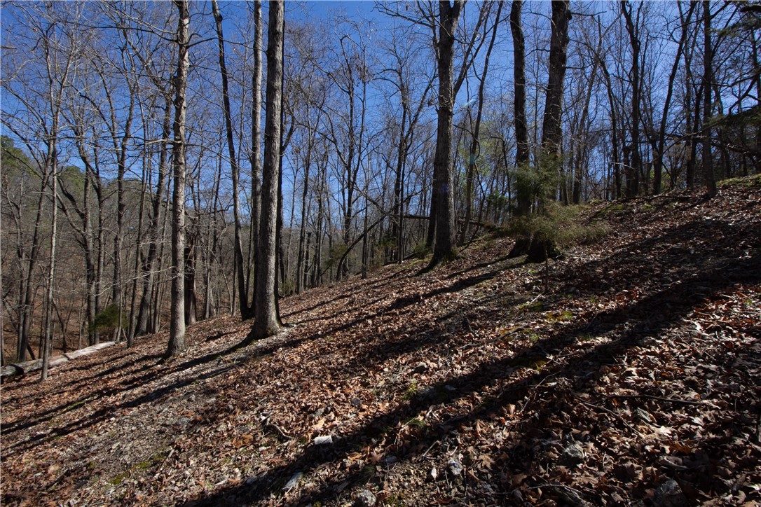 Tanglewood Resort No 2 Rurban - Land