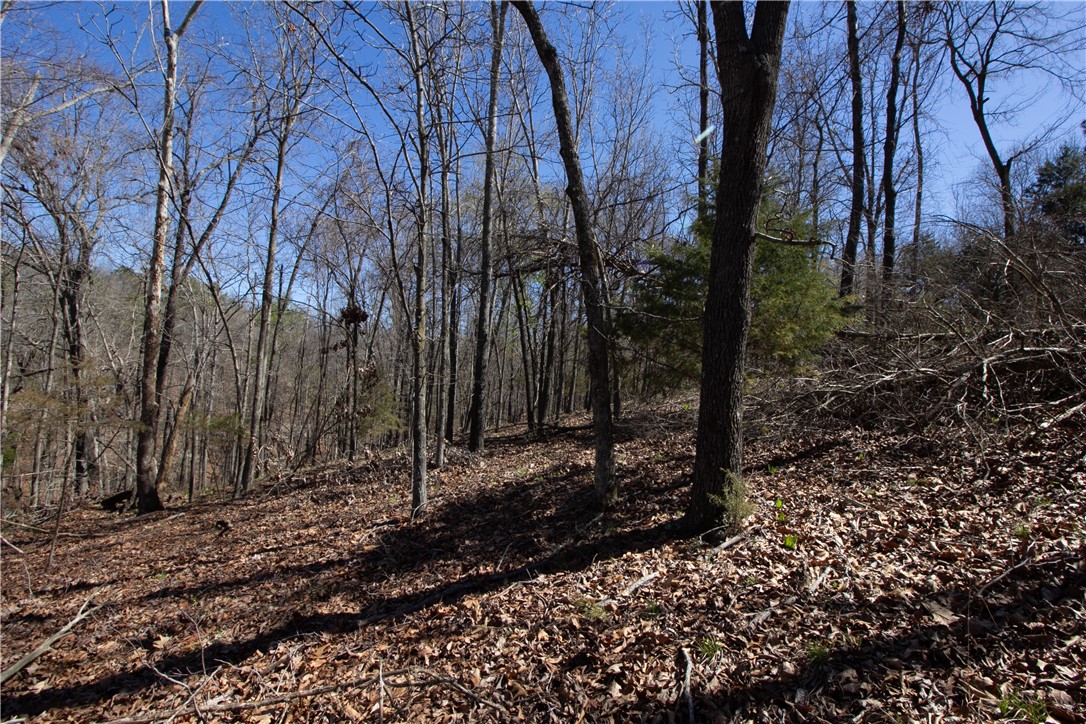 Tanglewood Resort No 2 Rurban - Land