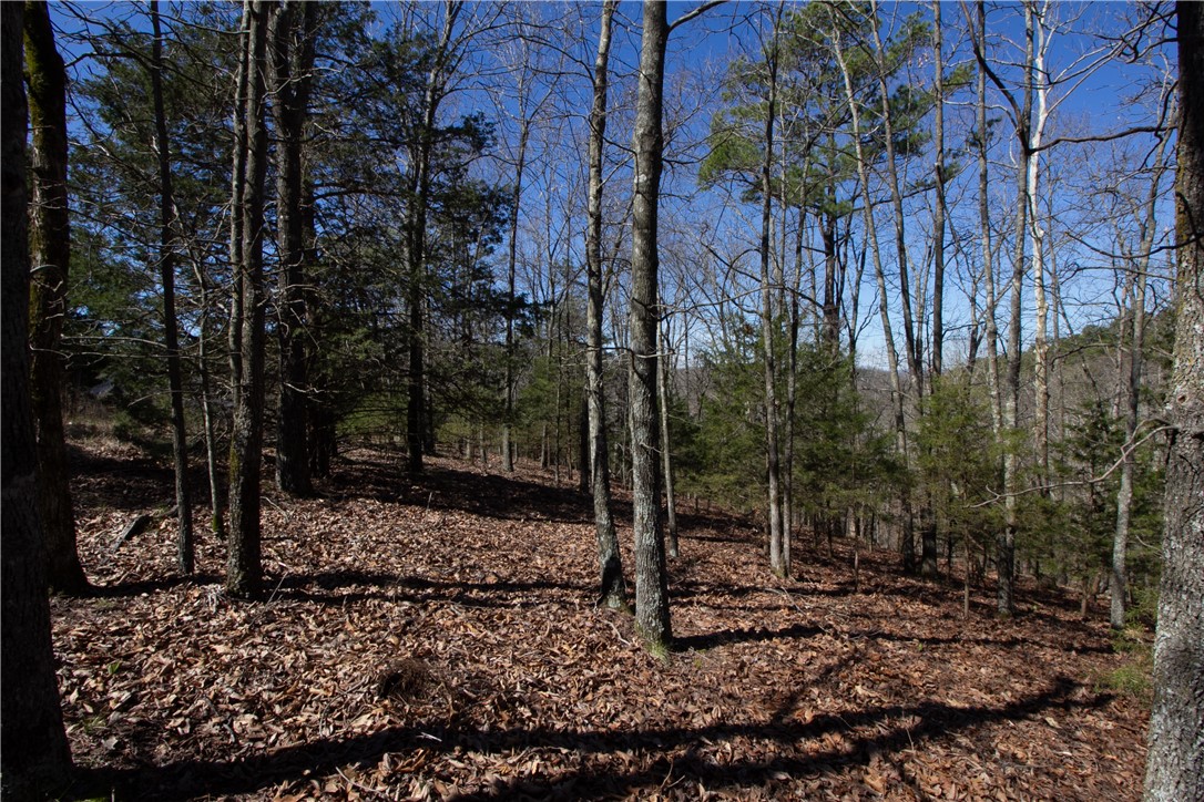 Tanglewood Resort No 2 Rurban - Land