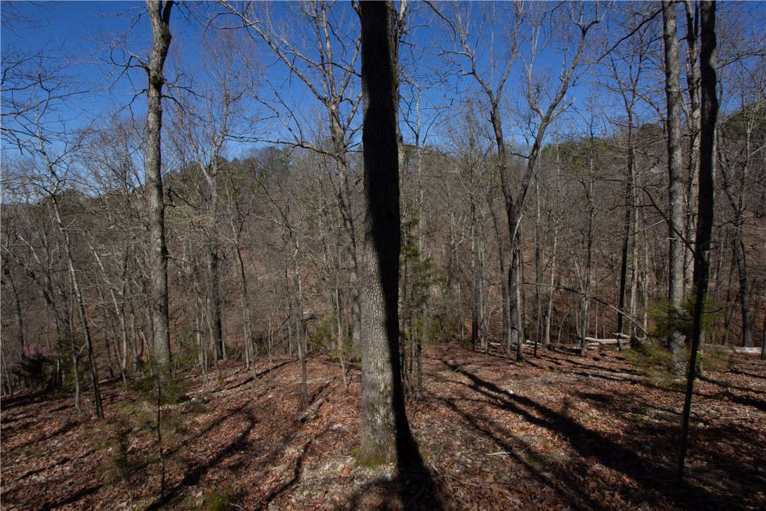 Tanglewood Resort No 2 Rurban - Land
