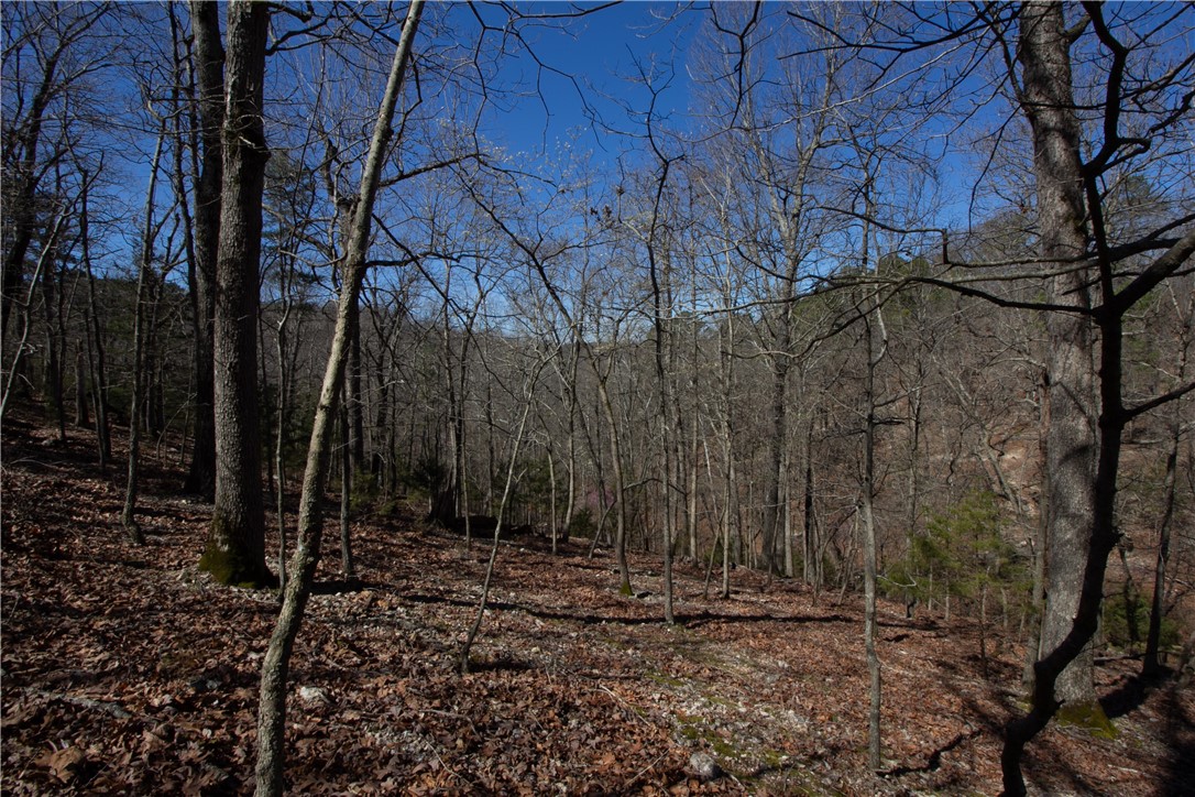 Tanglewood Resort No 2 Rurban - Land