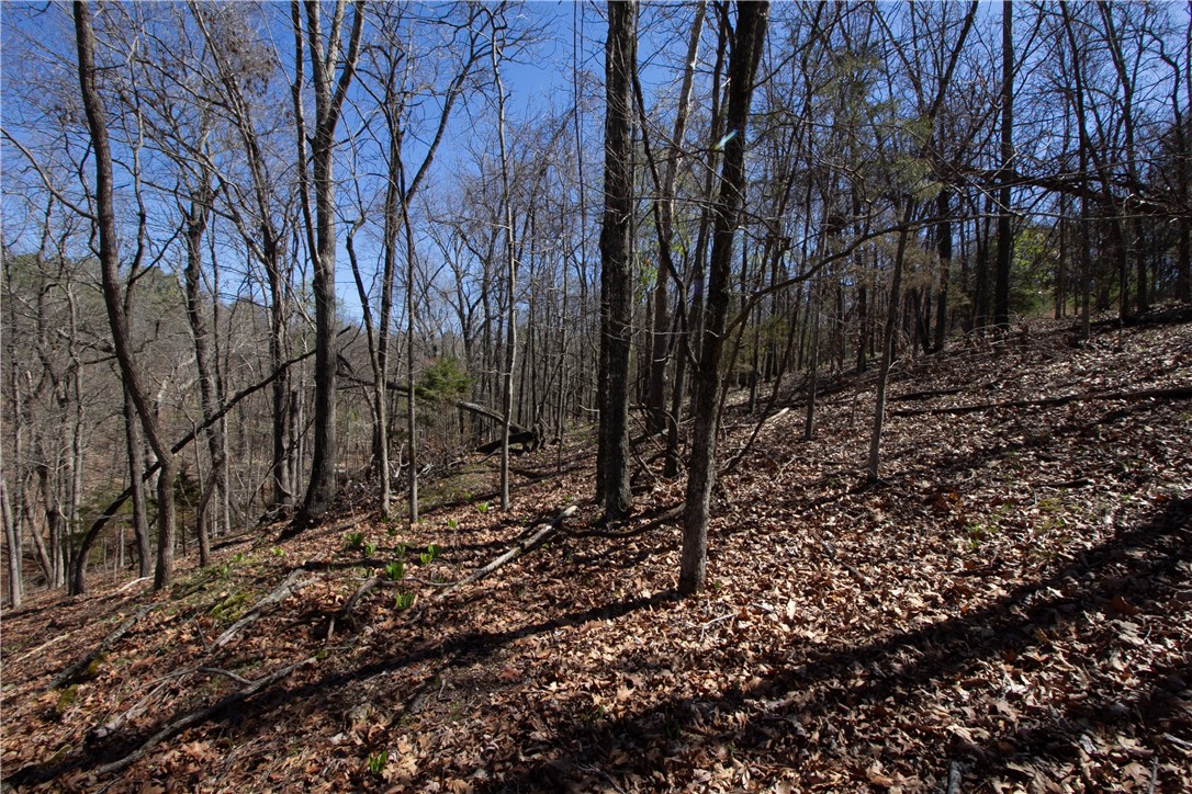 Tanglewood Resort No 2 Rurban - Land