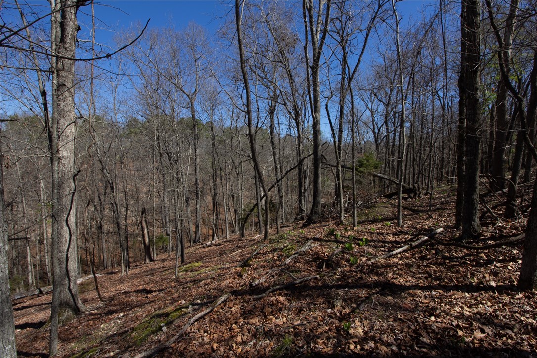 Tanglewood Resort No 2 Rurban - Land