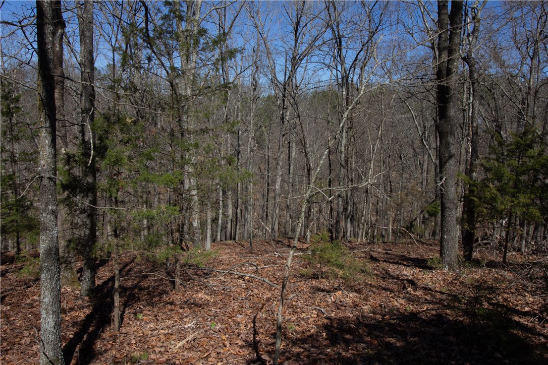 Tanglewood Resort No 2 Rurban - Land