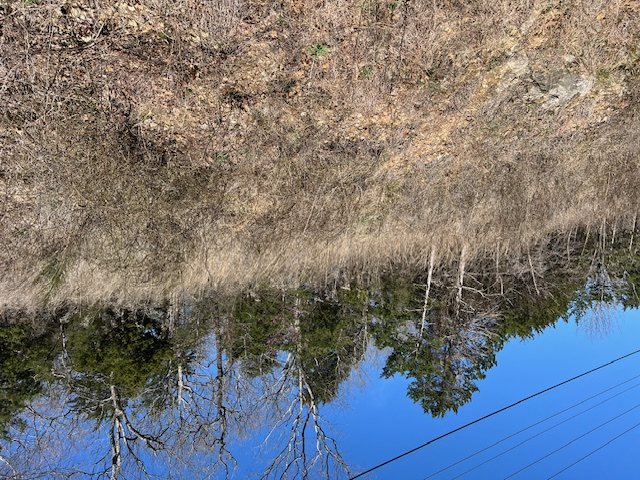 Unit 1 Holiday Island - Land