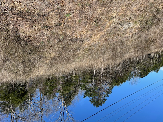 Unit 1 Holiday Island - Land