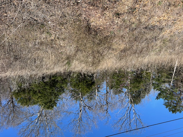 Unit 1 Holiday Island - Land