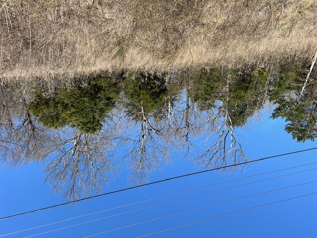 Unit 1 Holiday Island - Land