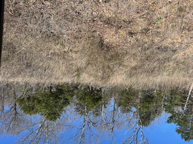 Unit 1 Holiday Island - Land