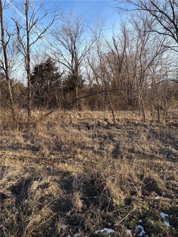 Red Bud Annex To Green Forest 2014 - Land