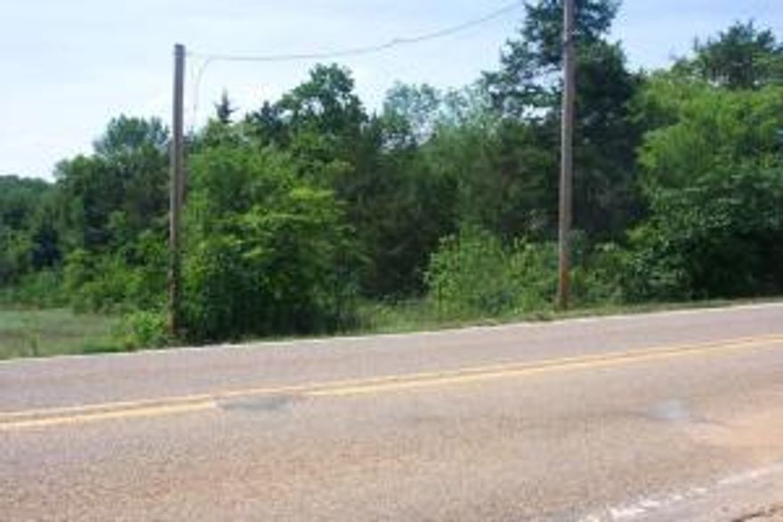 Great investment!  Corner lot at the entrance to the Diamond City golf course and country club.  Priced for quick sale. Sewer and water not available at this time.