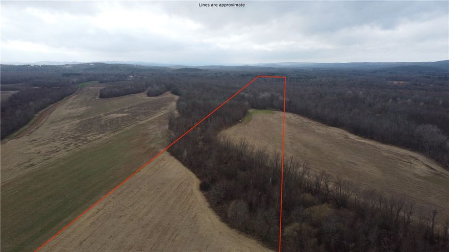 Approximately 84± acres located just west and north of Pinnacle in West Little Rock, Arkansas, offering a rare combination of recreational, agricultural, and riverfront features. The property includes approximately 19± acres of bottomland hardwood timber on the west side, with a duck blind and roughly 9± acres subject to seasonal flooding.

Approximately 525 feet of frontage along the Arkansas River (Palarm Pool), providing river access and exceptional wildlife habitat. The remaining acreage is previously tillable ground that is currently enrolled in a CRP tree planting program (2024), which provides annual payments to the seller.

Ideally situated between Roland, Arkansas and the Arkansas River, this property is located in an excellent deer hunting area, with opportunities for occasional duck hunting when weather and water conditions allow. A unique opportunity for investors, outdoorsmen, or buyers seeking recreational land with Arkansas River frontage, all within close proximity to West Little Rock.