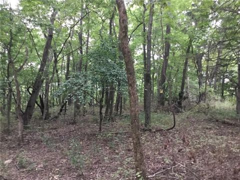 Arabian Drive Unit #10 - Lots, 426, 427, 428 Drive Garfield AR 72756