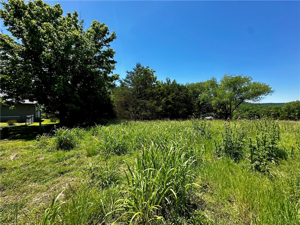 Unit 110 Holiday Island - Land