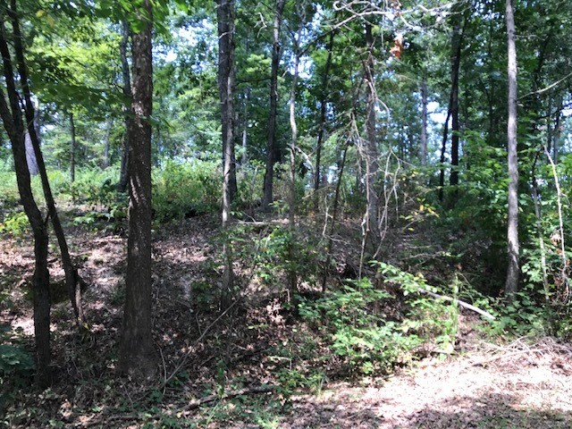 Nestled amid the tranquil beauty of Bella Vista, Arkansas, this secluded parcel on Armitage Drive offers the ideal blend of privacy and accessibility. Tucked away from the hustle and bustle, the property enjoys a peaceful, forested backdropāan oasis where natureās serenity meets modern convenience and is located within the Bentonville school district.
This location is centrally positioned within Bella Vista's west side, granting easy access to nearby amenities, 7 golf courses, 7 scenic lakes, and vibrant local communities. A mountain bikerās dream: with hundreds of miles of hand built trails weaving through the Ozark foothills. The Bamboozled trail lies close to your parcel.
Set to open the summer 2026, the Oz Trails Bike Parkāa groundbreaking, chairlift served downhill mountain biking destinationāis under development nearby. This 200-acre park, complete with advanced jump lines, a restaurant, event space, and scenic lift access, is poised to become the premier biking and cultural hub in Arkansas.