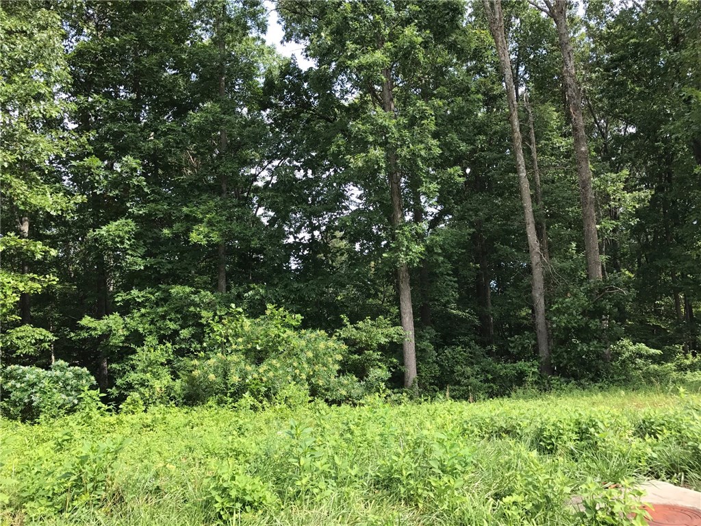 Versailles Sub Centerton - Land