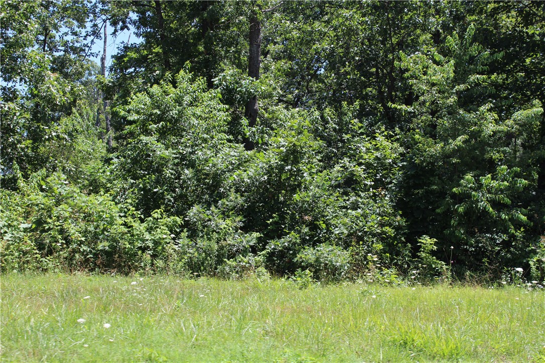 Versailles is gorgeous neighborhood with wooded homesites of one acre or more. This is one of only a few sites left to build your custom dream home. Bring your own builder! Location is less than 4 miles to Walmart Hdqtrs and is in the Bentonville West school district.