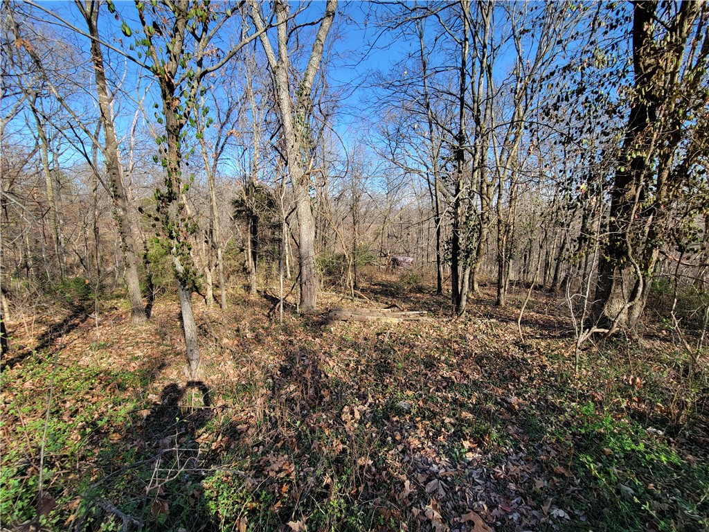This lot has a very peaceful setting and is located on a cul-de-sac that has just one home around it. There is only a mild slope on the front 2/3 of the lot. This lot is also located within just a few minutes of the Highlands golf course and clubhouse as well as Loch Lomond. You'll have quick access to the interstate and the Missouri state line from this lot as well. Feel free to go check it out.