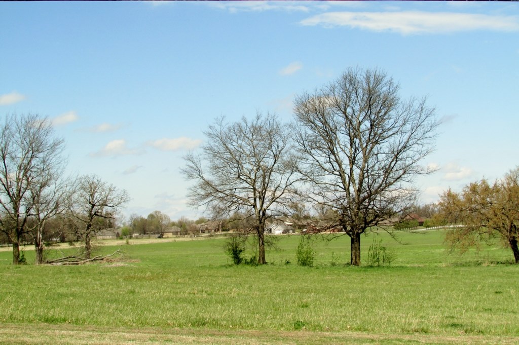 Prairie Grove Outlots - Land