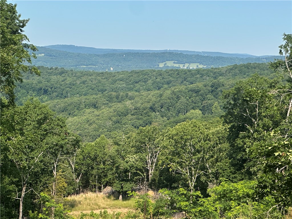 Do you love beautiful views from your back porch? Do you like to hunt, hike, ride UTV trails, search for arrowheads, put in a zipline, or have a shooting range to 300yds maybe? Would you like to buy a property that is priced well within the market price for a property of this caliber? This property has so many options, and has a view from the top that is exceptional. The hunting is diverse with deer, turkey, bear, and small game. Some trails are already in place with some areas cleared for cabin sites. The potential of the property is endless. The property is 12 minutes to Elkins High School, and approximately 30 minutes from Fayetteville. Please come see this property to answer the question: is this the right one?. Call agent to set it showing.