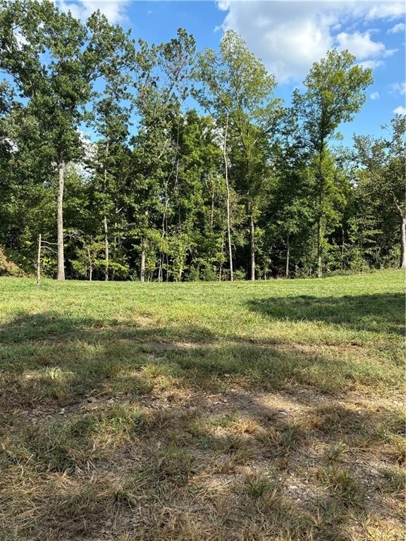 Seclusion with a view! Several great level building locations. There is a nice mix of mature trees, open land and lots of wildlife to enjoy.
