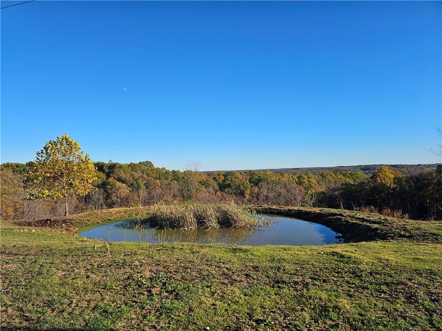 Build Your Dream Home or Investment Property!
This picturesque property offers a perfect blend of natural beauty and convenience and is just minutes from Huntsville and Eureka Springs. It features approximately 700' of highway frontage and ensures easy access while providing serene mountain views. The land boasts:
Cleared Acreage: Multiple ideal building sites for your dream home or cabins.
2 Scenic Ponds: Adding charm and potential for leisure or livestock.
Recreational Acres: Perfect for outdoor adventures, hobbies, or enjoying the abundance of wildlife.
Whether you're seeking a private retreat, a family estate, or an investment opportunity, this property can make your vision a reality. Don't miss out on this incredible mix of convenience, natural beauty, and endless possibilities!