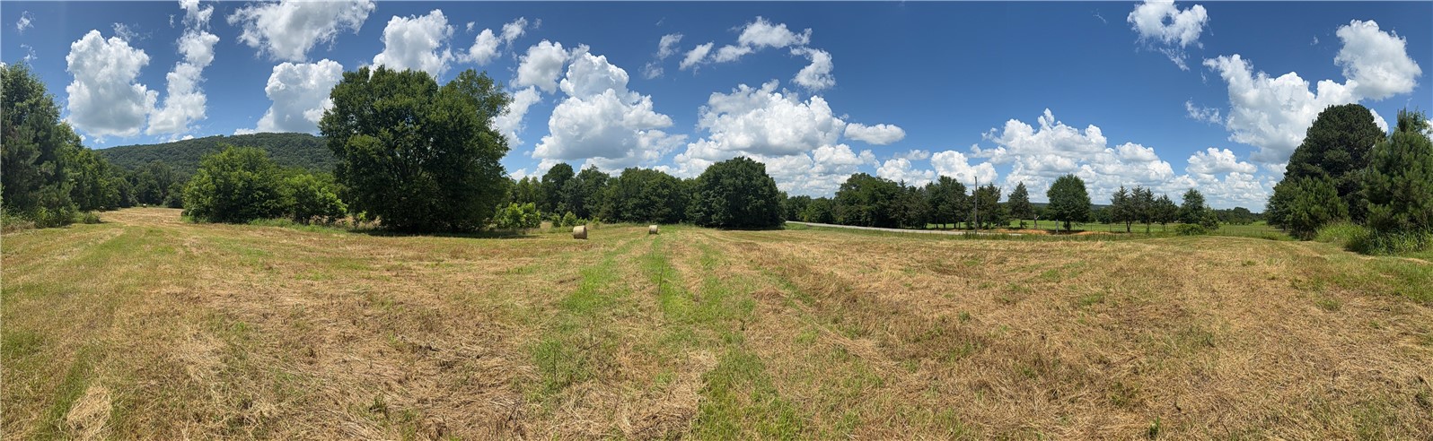 Escape the hustle and build your dream home on this breathtaking 20-acre parcel nestled in a peaceful, scenic setting. Offering endless potential, this property is a rare opportunity for homeowners, developers, or investors seeking space, privacy, and beauty. Featuring gently rolling terrain, multiple potential building sites, and easy access via a well-maintained road, this land is primed for development. Come take a tour today!