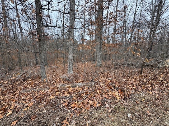 Rare gentle slope on this beautiful .28-acre Bella Vista lot. Beautiful homes in the surrounding area, minutes from Back 40 & The Ledges biking trails and Lake Brittany. Paved Roads. Bella Vista is one of the reasons NWA is ranked in the top places to live. It has something for all nature lovers; 5 golf courses, tennis courts, pickleball courts, parks, trails, mountain biking, 7 lakes, marinas, beach, swimming pools, club houses, & recreation centers. Minutes to Bentonville Square & New Walmart Campus