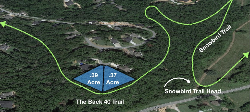 Sewered Lot on the Back 40! Back 40 trail runs behind this excellent buildable lot. Snowbird trailhead access also behind lot. Sewer at the street. Located at the end of a cul-de-sac. Survey available. Adjoining lot also available and listed for sale MLS #1269946. Potential for view of McNelly Rd valley. Great location in East Bella Vista close to Metfield golf, Blowing Springs park, etc. Enjoy amenities Bella Vista POA has to offer bike trails, multiple golf courses, lakes, gyms, etc. Agent Owned