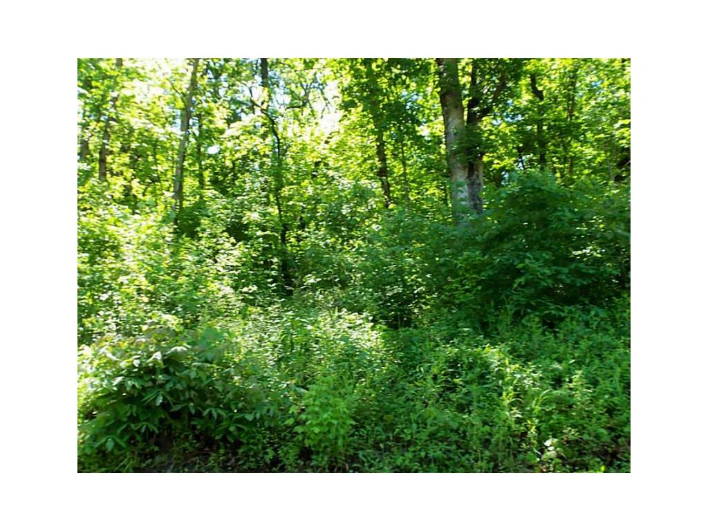 Morrison Heights Bentonville - Commercial Sale